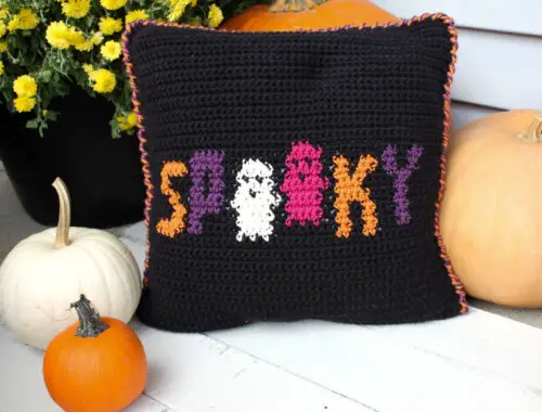 Spooky Halloween Crochet Pillow Free Pattern
