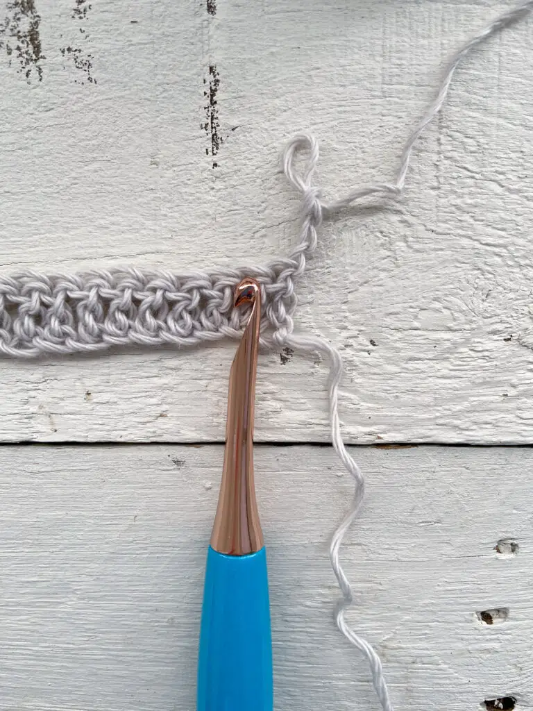 Ch 3 counts as a stitch so you will skip the very first st.