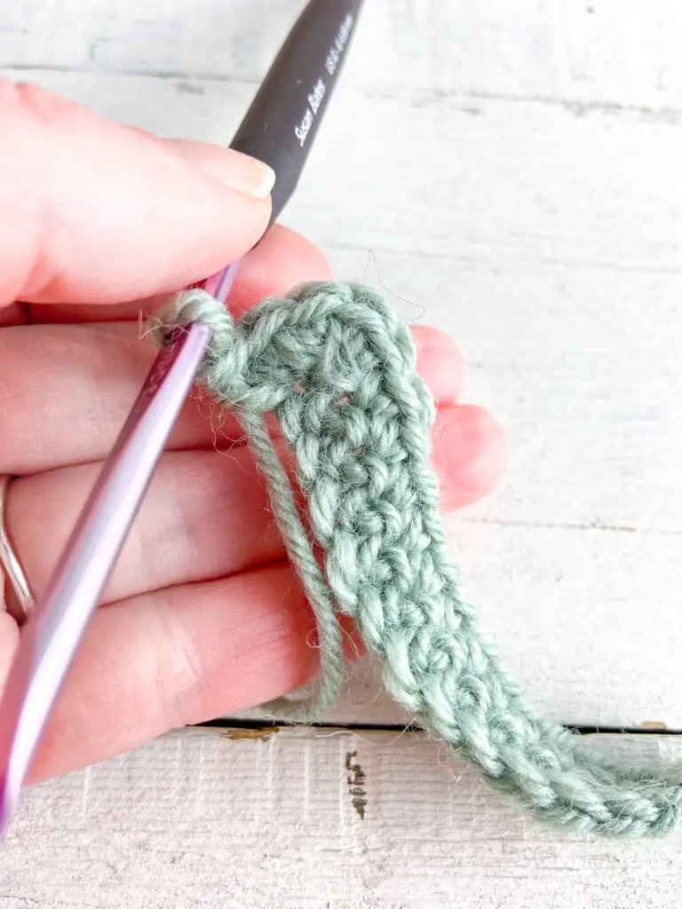 Rotate work and sc down the starting chain.