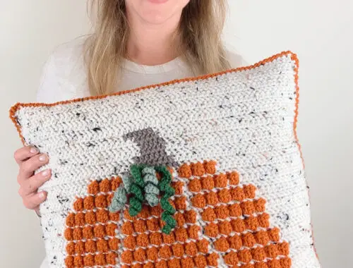 Fall crochet pumpkin pillow free pattern
