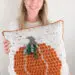Fall crochet pumpkin pillow free pattern