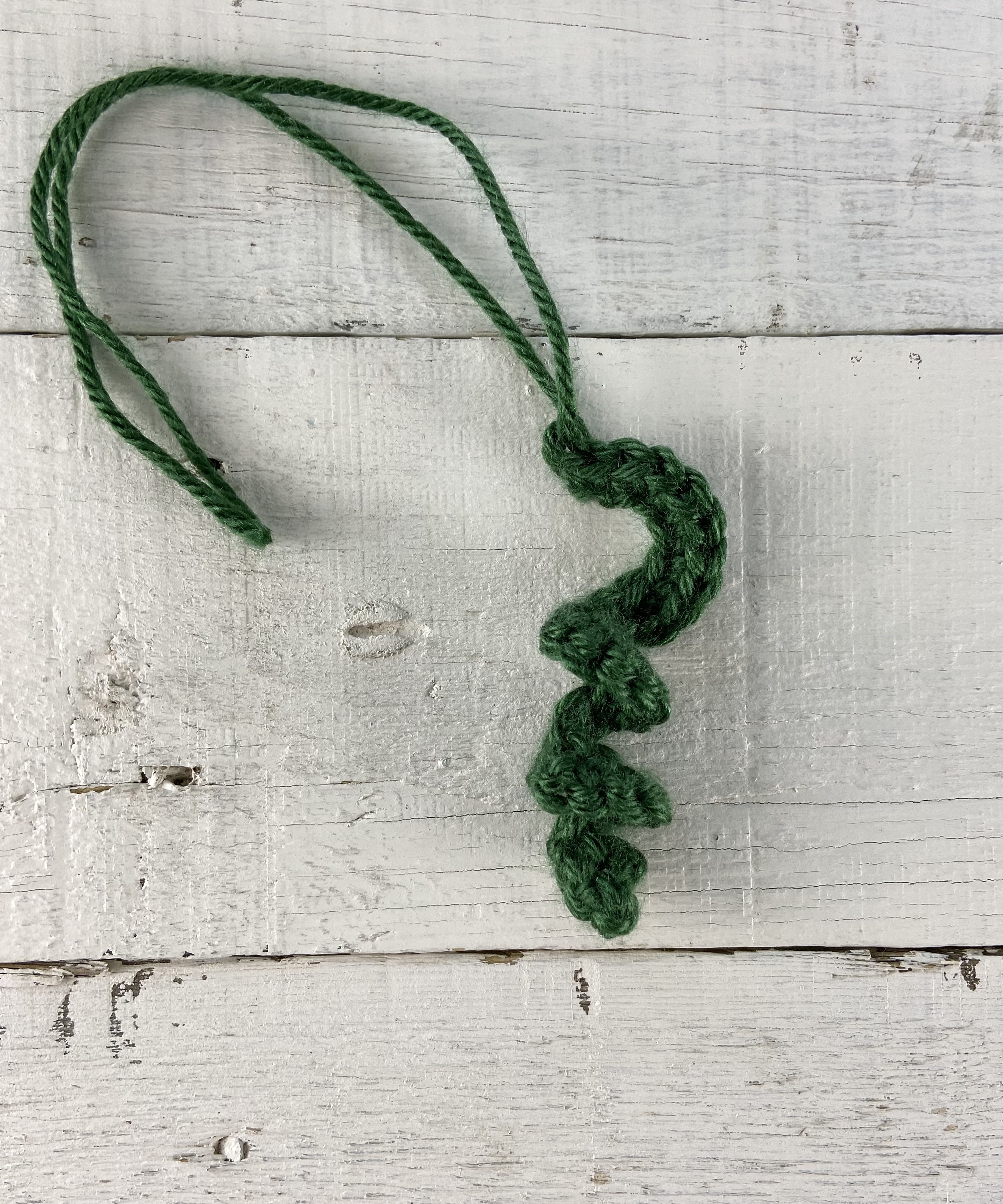 Pumpkin vine