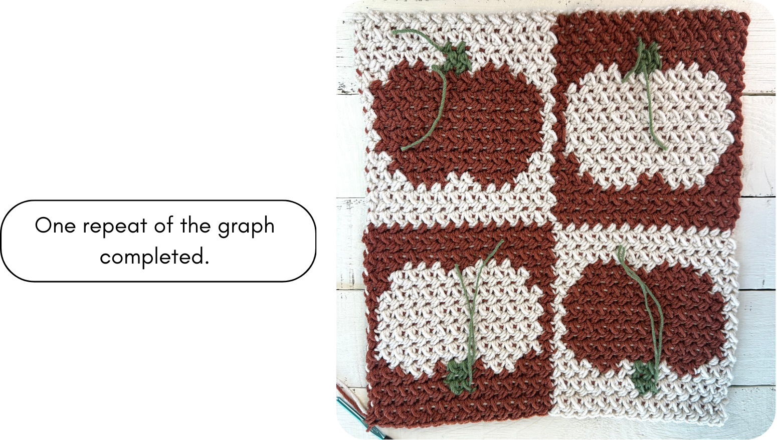 one repeat of the pumpkin squares graph